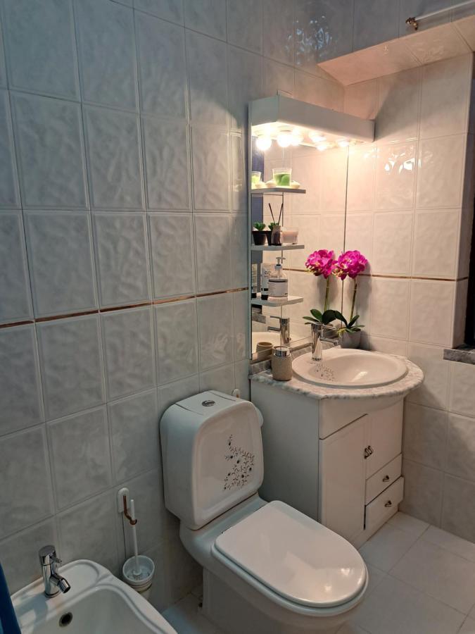 Beja Garden Apartamento Com Terraco Privado Zewnętrze zdjęcie