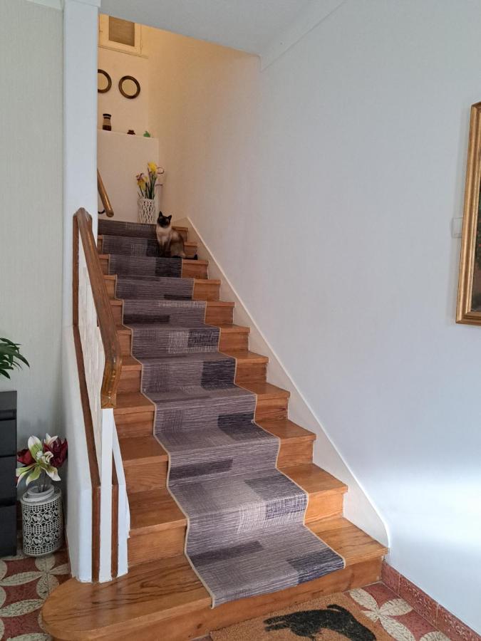 Beja Garden Apartamento Com Terraco Privado Zewnętrze zdjęcie